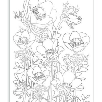 Fleurs (à colorier) (SKU: 6512)