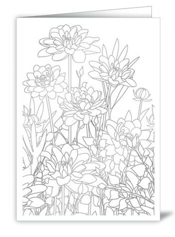 Fleurs (à colorier) (SKU: 6507)