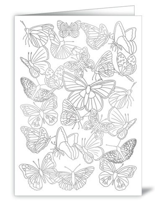 Papillons (à colorier) (SKU: 6504)