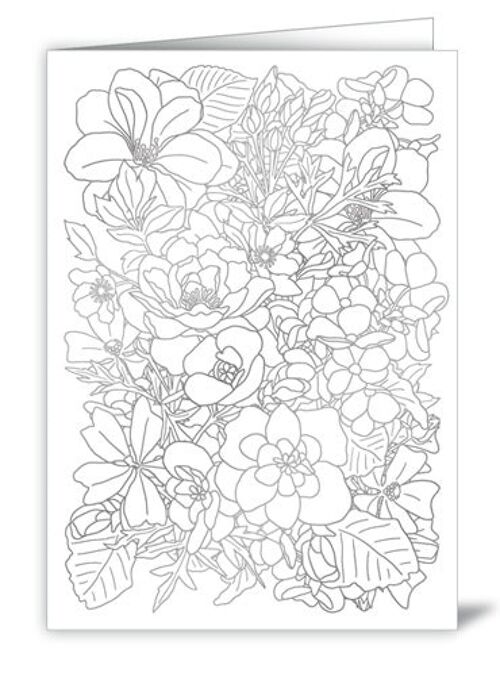 Roses (à colorier) (SKU: 6501)