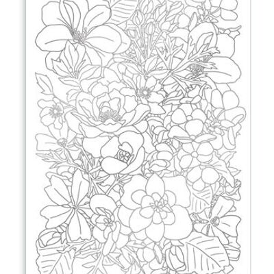 Roses (à colorier) (SKU: 6501)