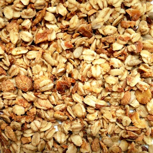 Muesli croustillant salé Oignon grillé BIO - VRAC 1kg