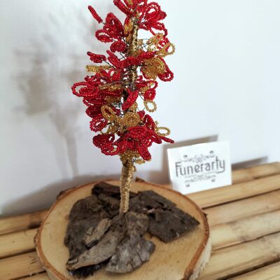 Amore dell'albero