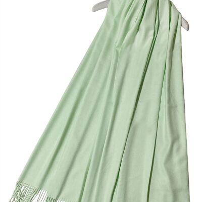 Elegant Super Soft Plain Pashmina Tassel Scarf Shawl - Mint Green