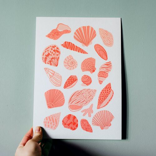 Shells Art Print