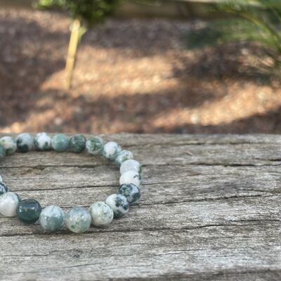 Lithotherapy Elastic Bracelet in Tree Agate