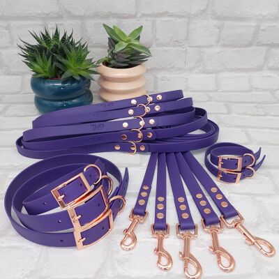 Wasserdichtes BioThane Hundehalsband & Leine Bundle – Acid Purple & Rosegold