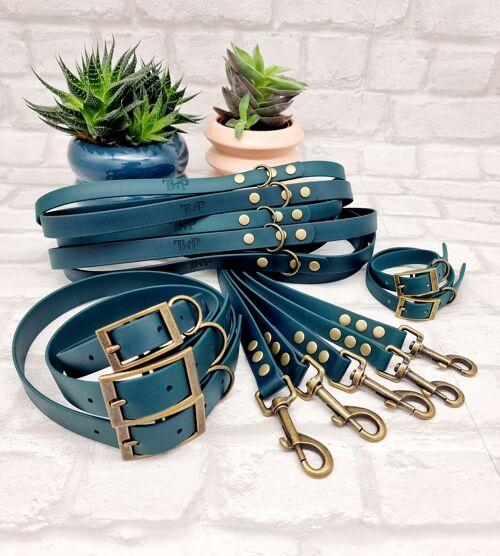 Waterproof BioThane Dog Collar & Lead Bundle - Dark Green & Antique Brass