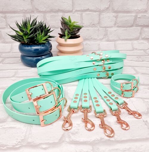 Waterproof BioThane© Dog Collar and Lead Bundle - Seafoam & Rosegold