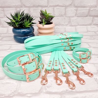 Wasserdichtes BioThane© Hundehalsband und Leine im Bündel – Seafoam & Rosegold