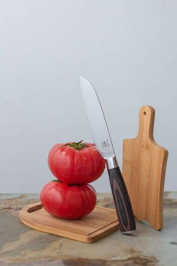 KOI ARTISAN Couteaux de chef Santoku - Couteau Santoku à lame tranchante de rasoir de 5 pouces, Couteaux de cuisine japonais Couteau de chef en acier inoxydable à haute teneur en carbone - Résistant aux taches et à la corrosion 6