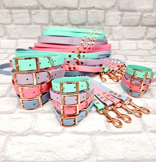 Waterproof BioThane© mixed colour Dog Collar & Lead Bundle - Pastel Collection Bundle