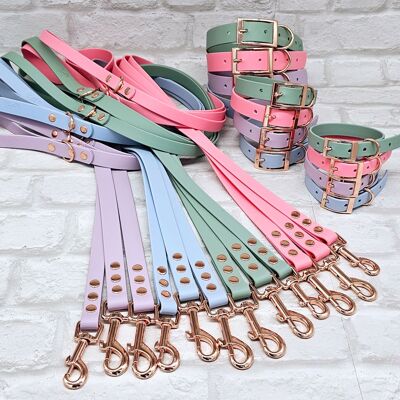 Fascio collare e guinzaglio per cani in colore misto BioThane© impermeabile - Pacchetto collezione pastello