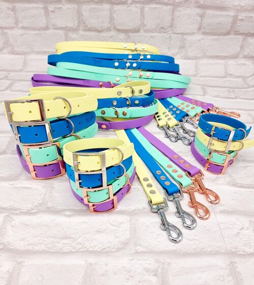 Waterproof BioThane© mixed colour Dog Collar & Lead Bundle - Bright Collection Bundle