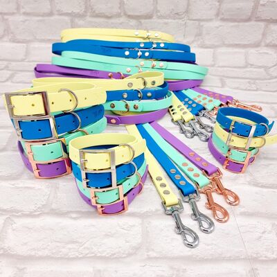 Waterproof BioThane© mixed colour Dog Collar & Lead Bundle - Bright Collection Bundle
