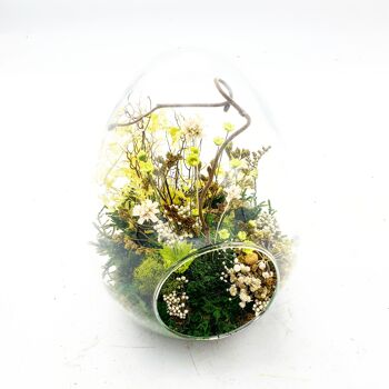 Terrarium Stabilisé Oeuf M 1