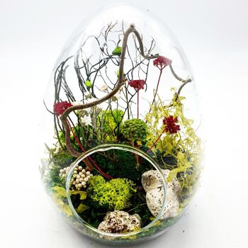 Terrarium Stabilisé Oeuf M 7