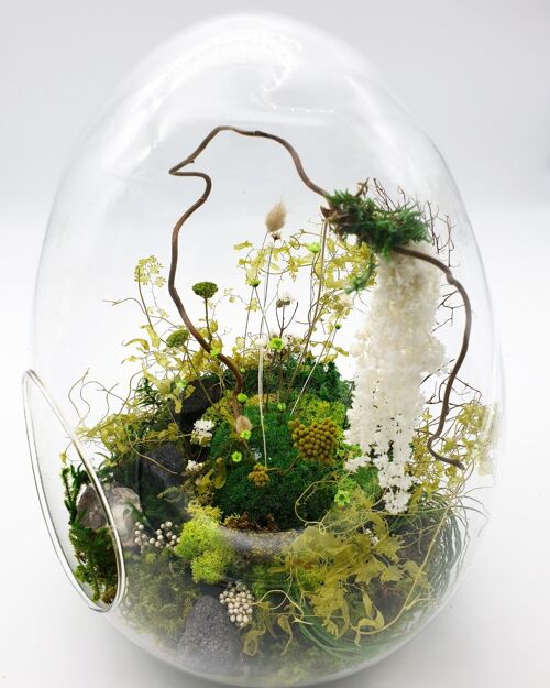 Terrarium Stabilisé Oeuf L