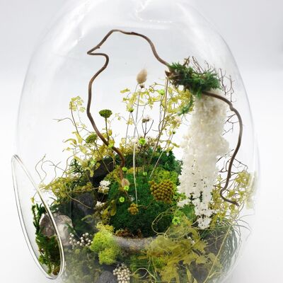 Stabilized Egg Terrarium L