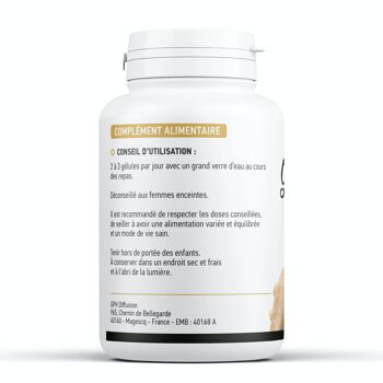 Gingembre Biologique - 250 mg - 200 gélules végétales 2