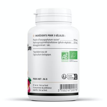 Harpagophytum Biologique - 330 mg - 200 gélules végétales 3