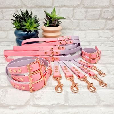 Waterproof BioThane© two-coloured 10pcs Dog Collar and Lead Bundle - Lilac & Baby Pink