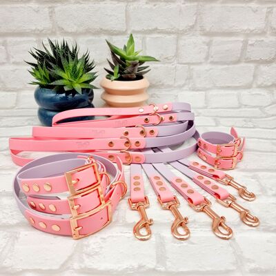 Waterproof BioThane© two-coloured 10pcs Dog Collar and Lead Bundle - Lilac & Baby Pink