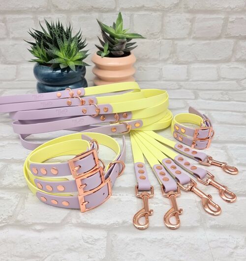 Waterproof BioThane© two-coloured 10pcs Dog Collar & Lead Bundle - Sherbet Lemon & Lilac