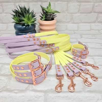 Waterproof BioThane© two-coloured 10pcs Dog Collar & Lead Bundle - Sherbet Lemon & Lilac