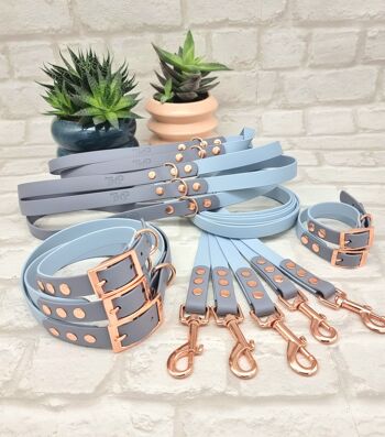 Lot de 10 Colliers et Laisses pour Chiens BioThane© bicolores étanches - Bleu Pastel & Gris