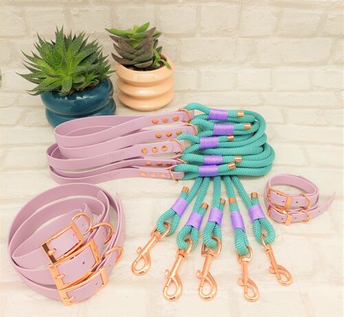 Paracord Rope Lead & waterproof Biothane Dog Collar 10pcs Bundle - Seagreen & Lilac