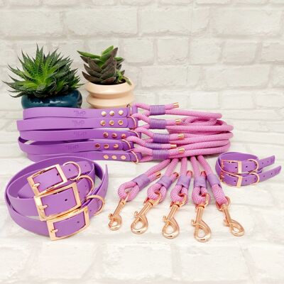 Paquete de 10 piezas de collar de perro de biotano resistente al agua y plomo de cuerda de paracaídas - rosa pastel y amatista