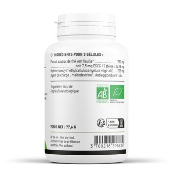 Thé vert Biologique - 250 mg - 200 gélules végétales 3