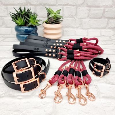 Paracord Leine & wasserdichtes Biothane Hundehalsband 10er Bundle - Burgund & Schwarz