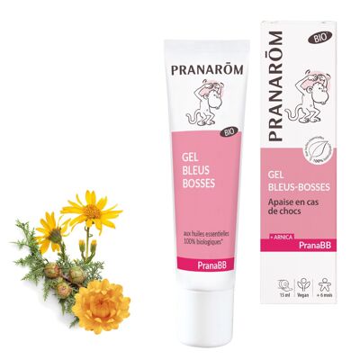 PRANABB GEL BLEUS/BOSSES BIO 15 ML