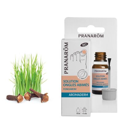 AROMADERM FONGIAROM SOLUTION ONGLES JAUNIS (BIO) ECO 10 ML