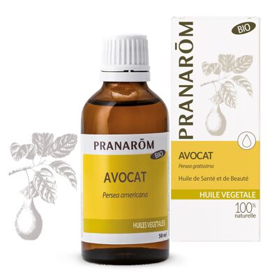 HUILES VÉGÉTALES AVOCAT BIO 50 ML