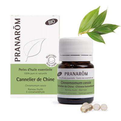 HUILES ESSENTIELLES CANNELIER DE CHINE RAMEAU FEUILLE BIO 60 PERLES