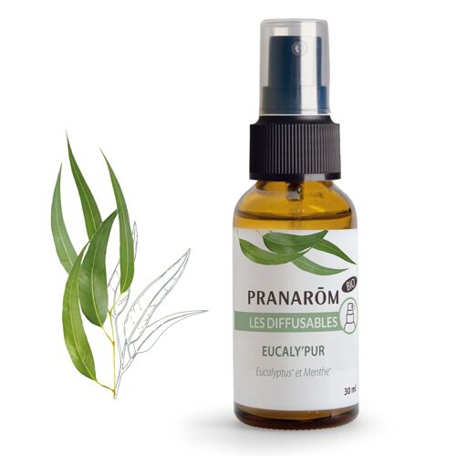 LES DIFFUSABLES SPRAY EUCALY_PUR BIO (ECO) 30 ML