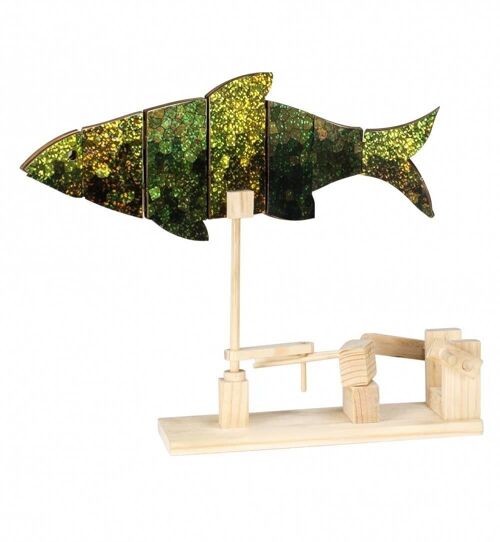 Fish Model Kit