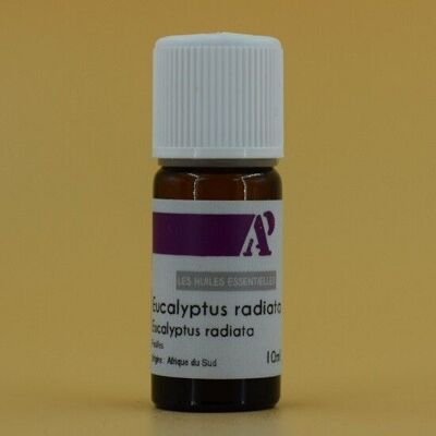 Aceite esencial de eucalipto radiata * 10 ml