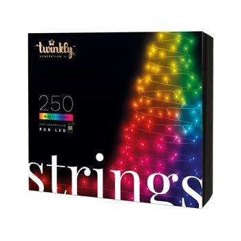 Strings (Multicolor edition) - 100 LEDs - Black - Europe (type F) 1