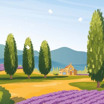 Provence 3