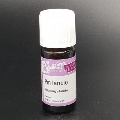 Pine laricio essential oil * 10 ml