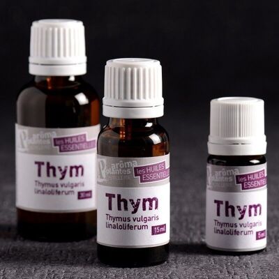 Ätherisches Öl Thymian Linalool * 10 ml