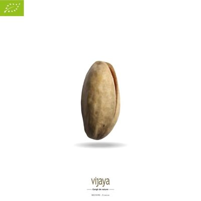 FRUTTA SECCA / Guscio di pistacchio Natura - SPAGNA - 10 kg - Biologico* (*Certificato Biologico da FR-BIO-10)
