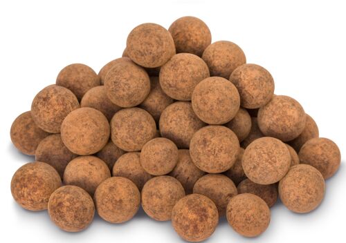 Salty Chocolate Hazelnuts Bulk 5kg Vegan Organic