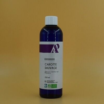 Wild Carrot Floral Water* 200ml