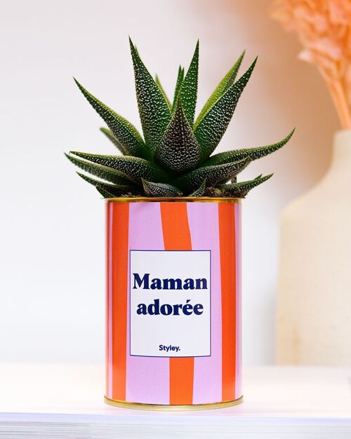 Cactus - Maman adorée