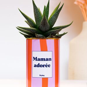 Cactus - Maman adorée